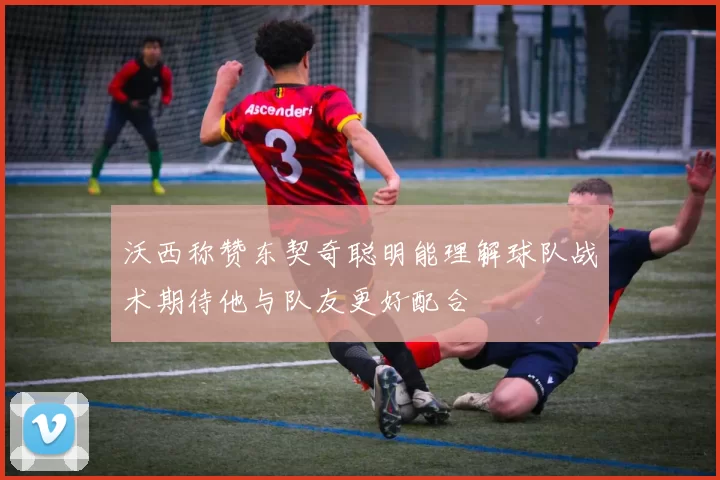 沃西称赞东契奇聪明能理解球队战术期待他与队友更好配合